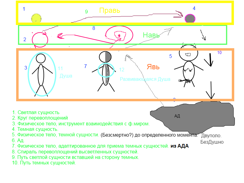 Путь сущности. Светлая Навь. Светлая явь. Явь-1 схема. Явь Навь Правь материя информация.